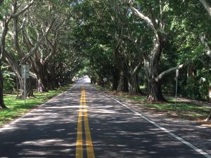 OLYMPIA PLAT 1 - Residential