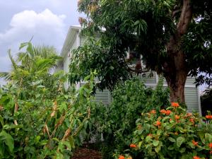 OLYMPIA PLAT 1 - Residential