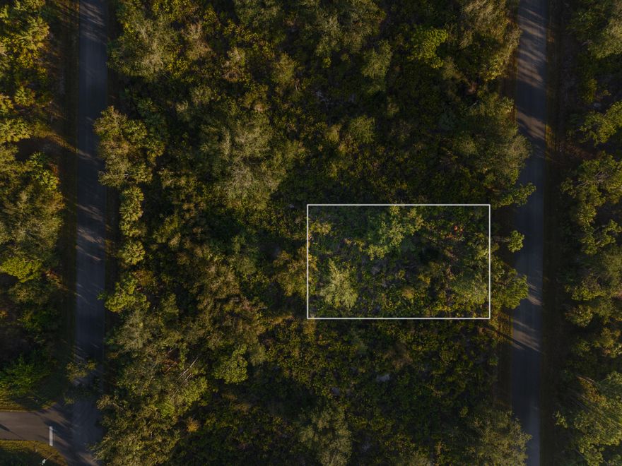 Discover the perfect spot to build your dream home in beautiful Port Charlotte! This ideally located lot is close to shopping, top-rated schools, medical facilities, and more—offering both convenience and value. Don't miss this incredible opportunity to secure a great piece of land at an unbeatable price.  Act fast and make this lot yours today!