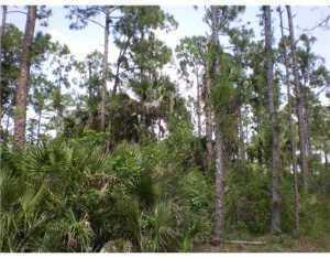 Port St Lucie - Land