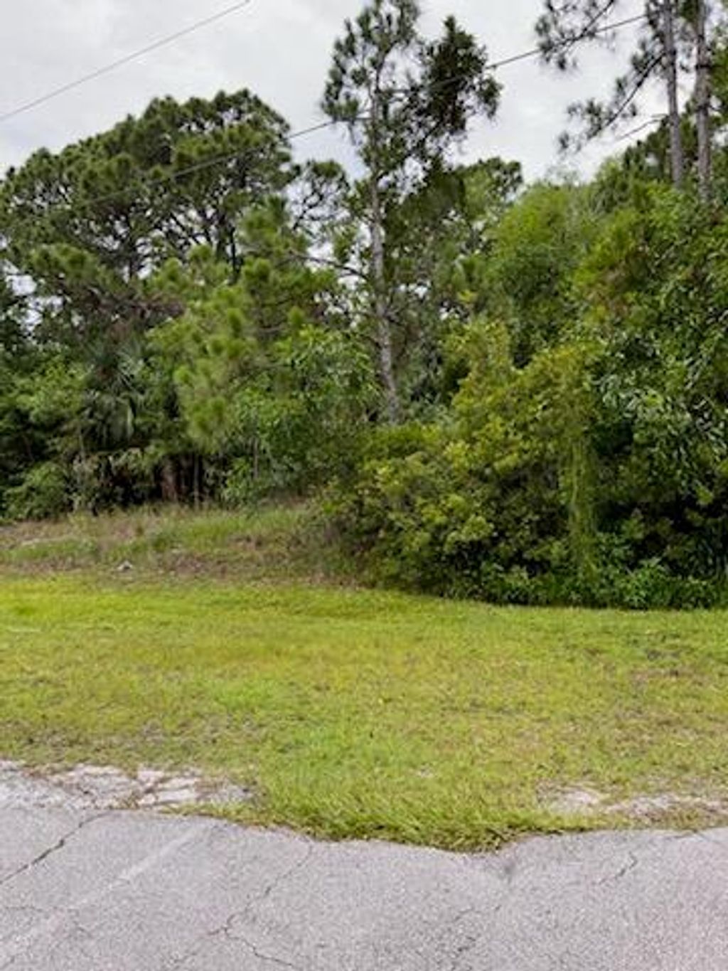 Photo of 1074 SW Dartmouth Avenue, Port Saint Lucie, FL 34953 (MLS # R11004889)