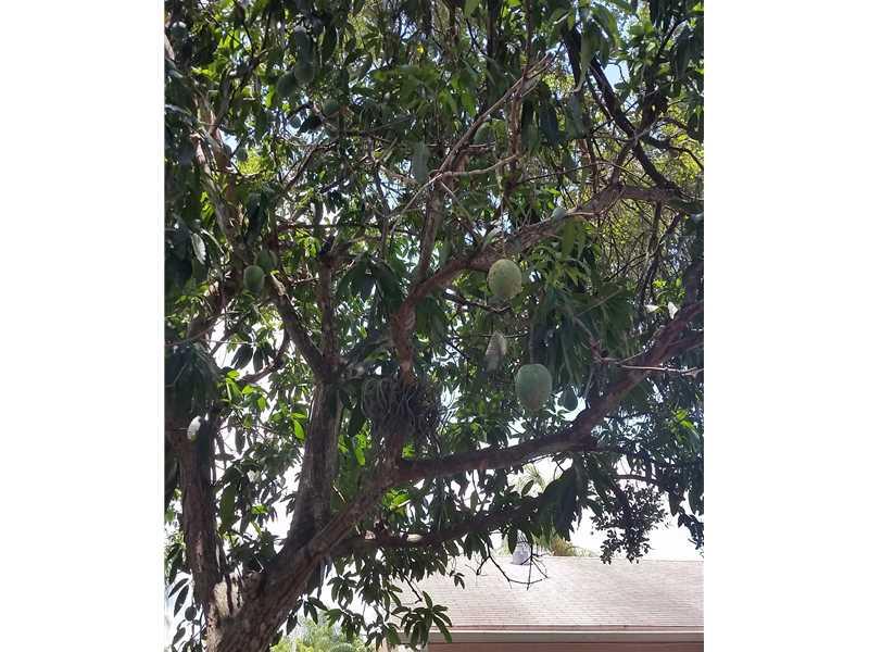 RELCO ESTATES FIRST ADD - Residential