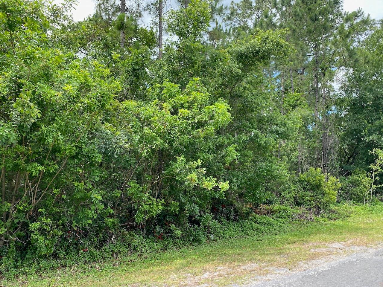 Indian Lake Estates - Land