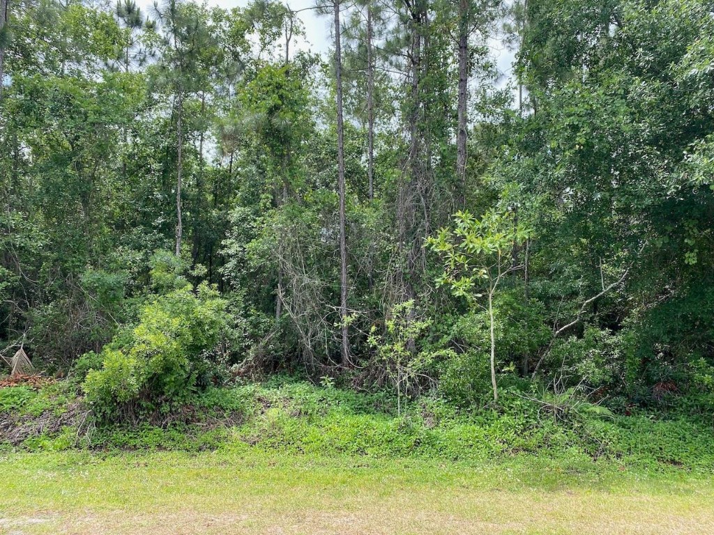 Indian Lake Estates - Land