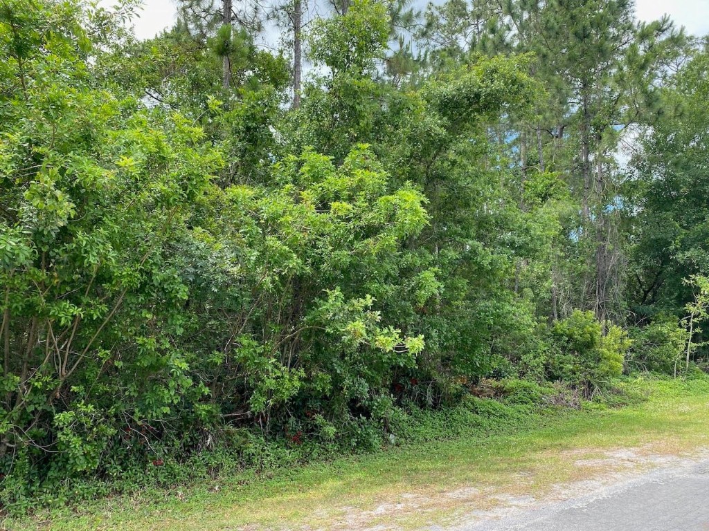 Indian Lake Estates - Land