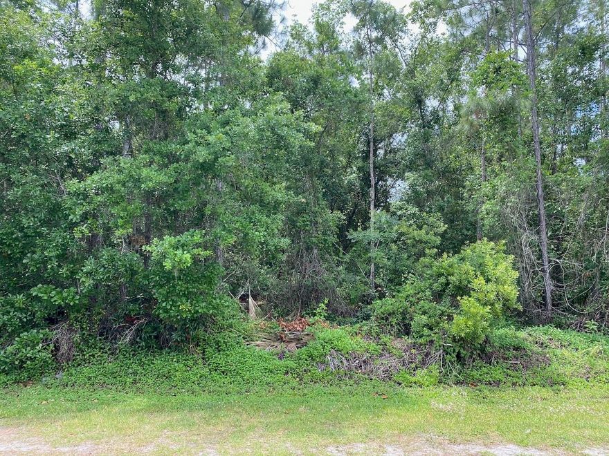 Excellent Location within Indian Lake Estates, close to club house!  Enjoy inexpensive golf on an improved golf course and remodeled Club house!  Have a Great Lunch on the outside Patio at the 19th Hole!  Enjoy a vast view in a peaceful setting!   You will be sold!  Plus you have a 7500 Acre Lake to fish for large mouth Bass! Enjoy the tranquility and being able to see the stars again in this rural setting!  Address is not official, but estimated to assist in Finding Lot with GPS.