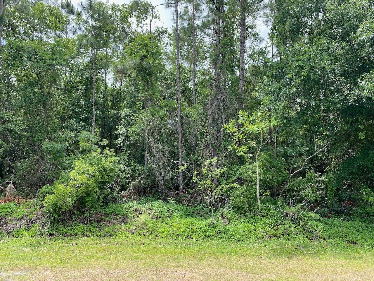 Indian Lake Estates - Land