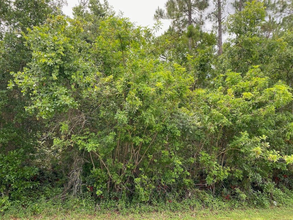 Indian Lake Estates - Land