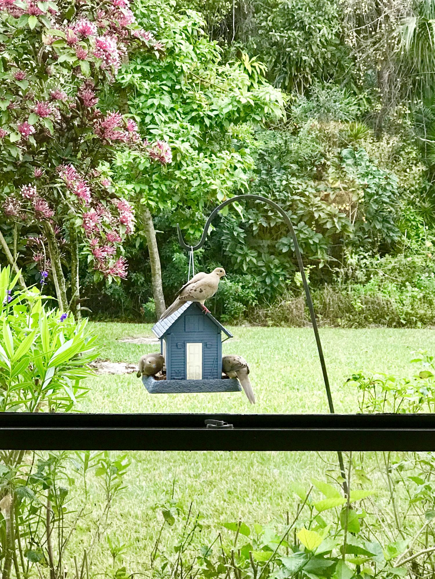 KARANDA VILLAGE 6-C CONDO - Residential