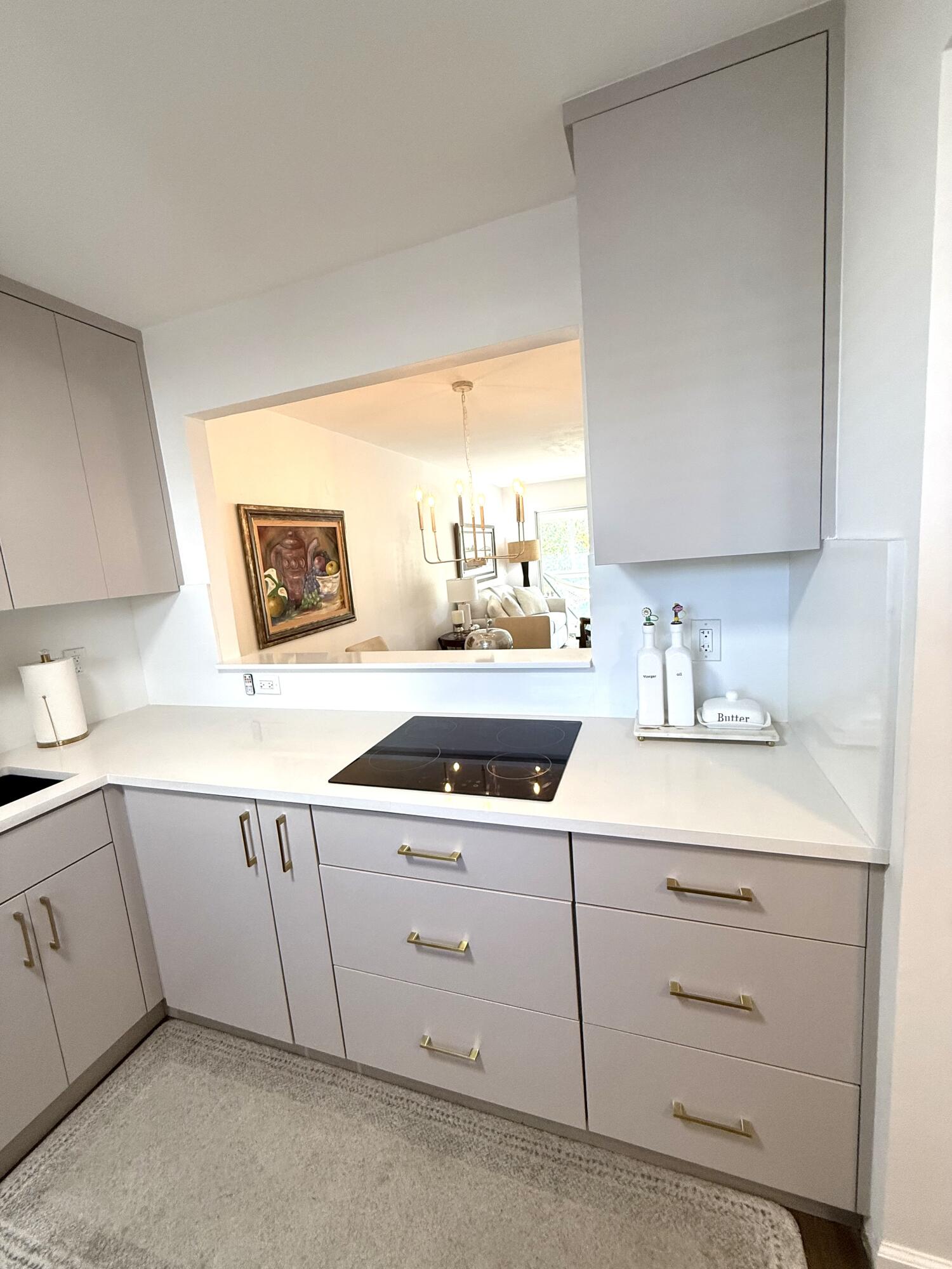 HOLIDAY SPRINGS VILLAGE 1 CONDO - Residential