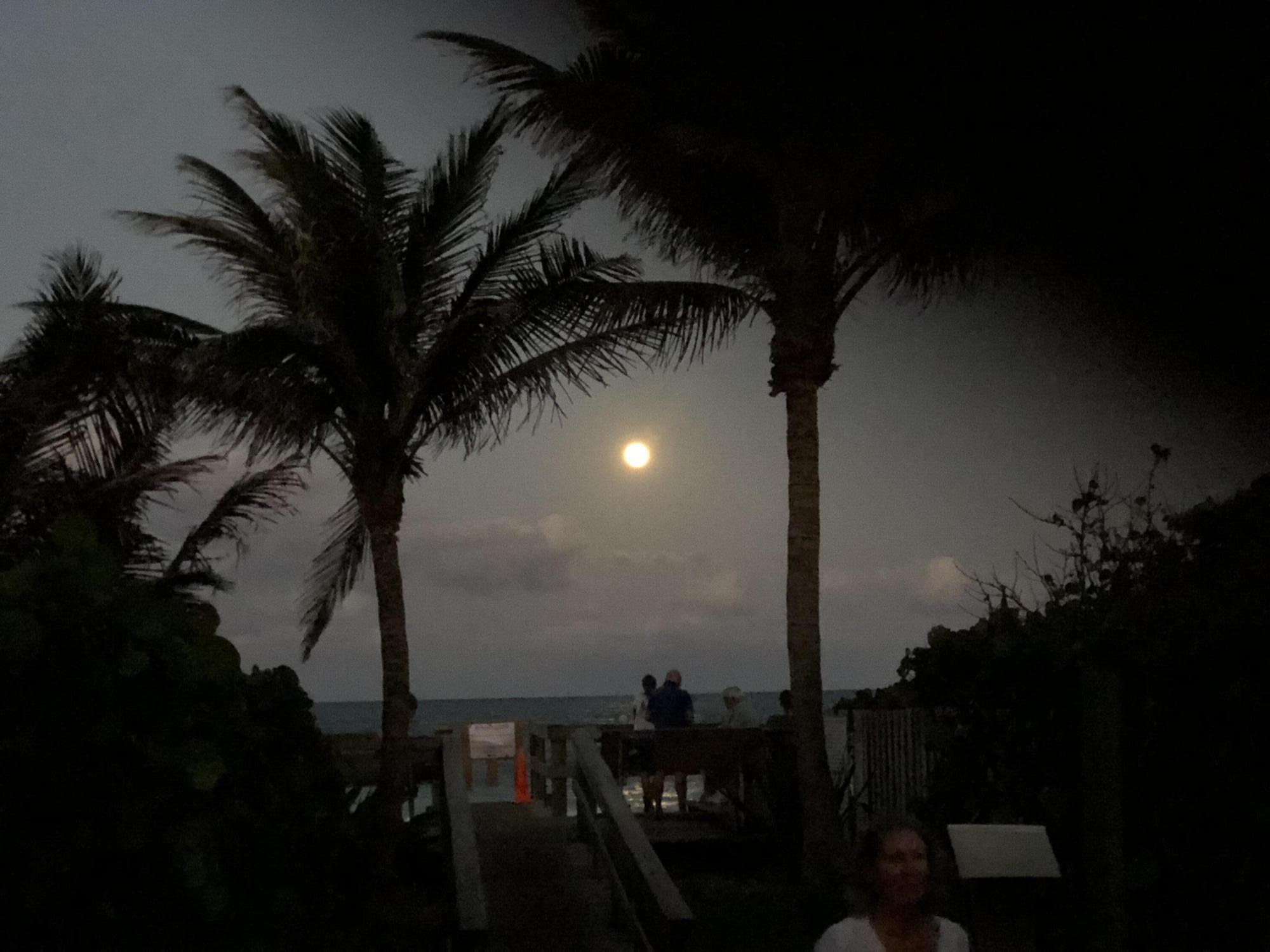 JUPITER INLET BEACH COLONY - Residential