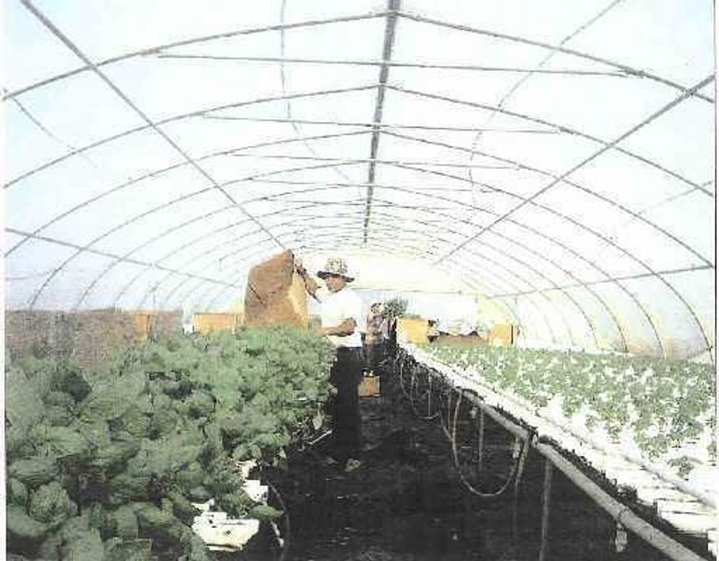 Photo of 23901 SW B Cardamine Street, Indiantown, FL 34956 (MLS # F10390434)