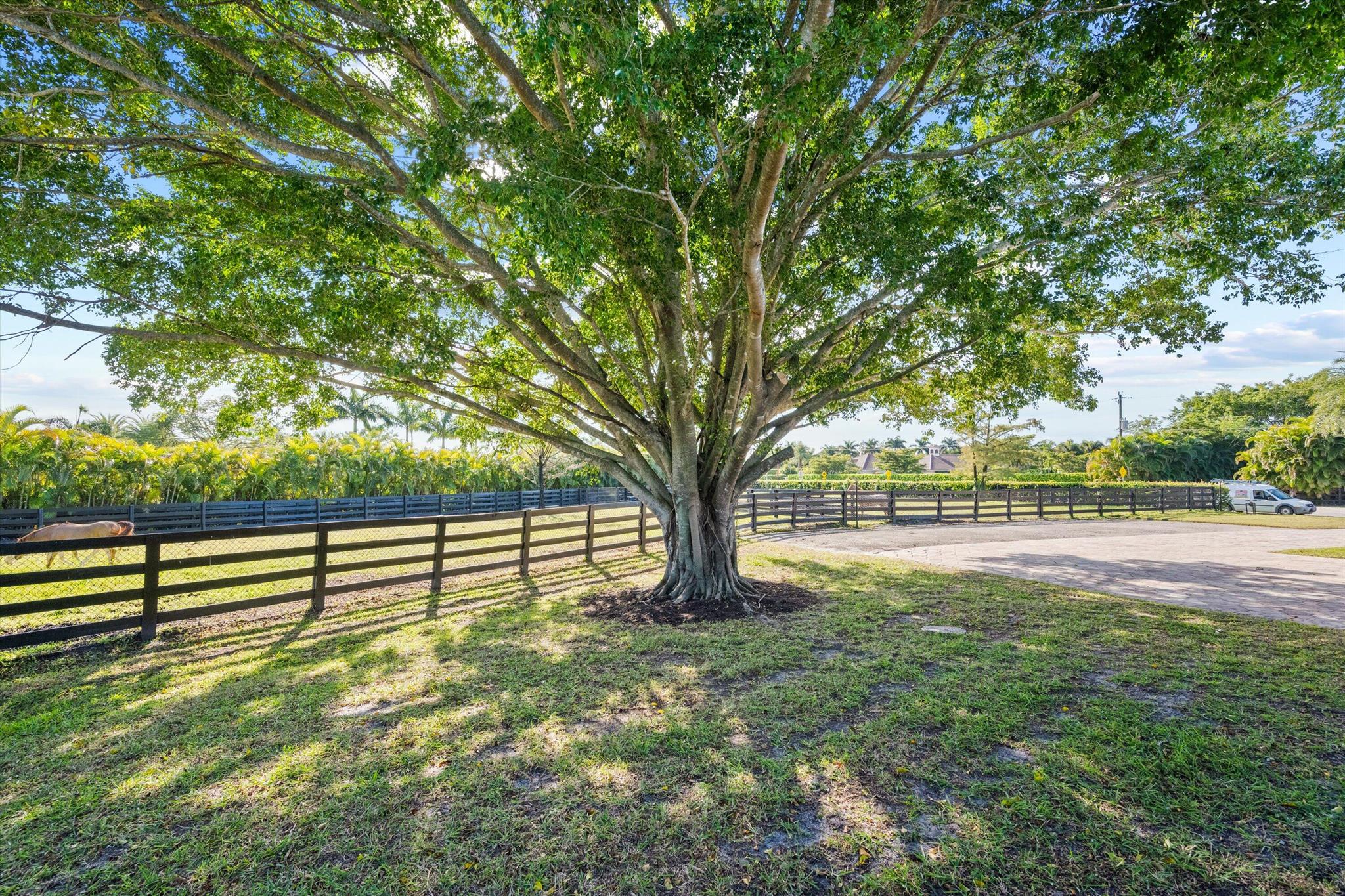 SADDLE TRAIL PARK OF WELL - Residential