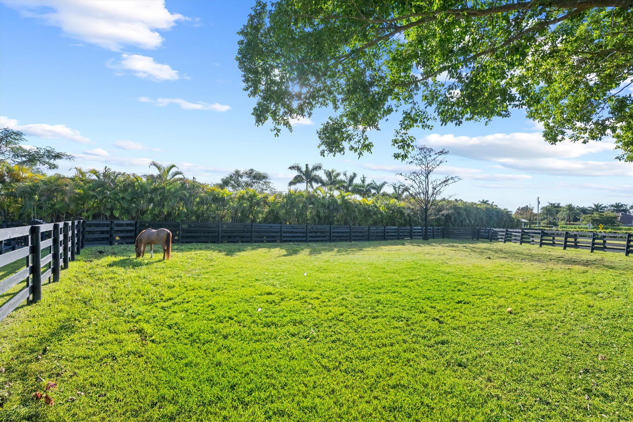 SADDLE TRAIL PARK OF WELL - Residential