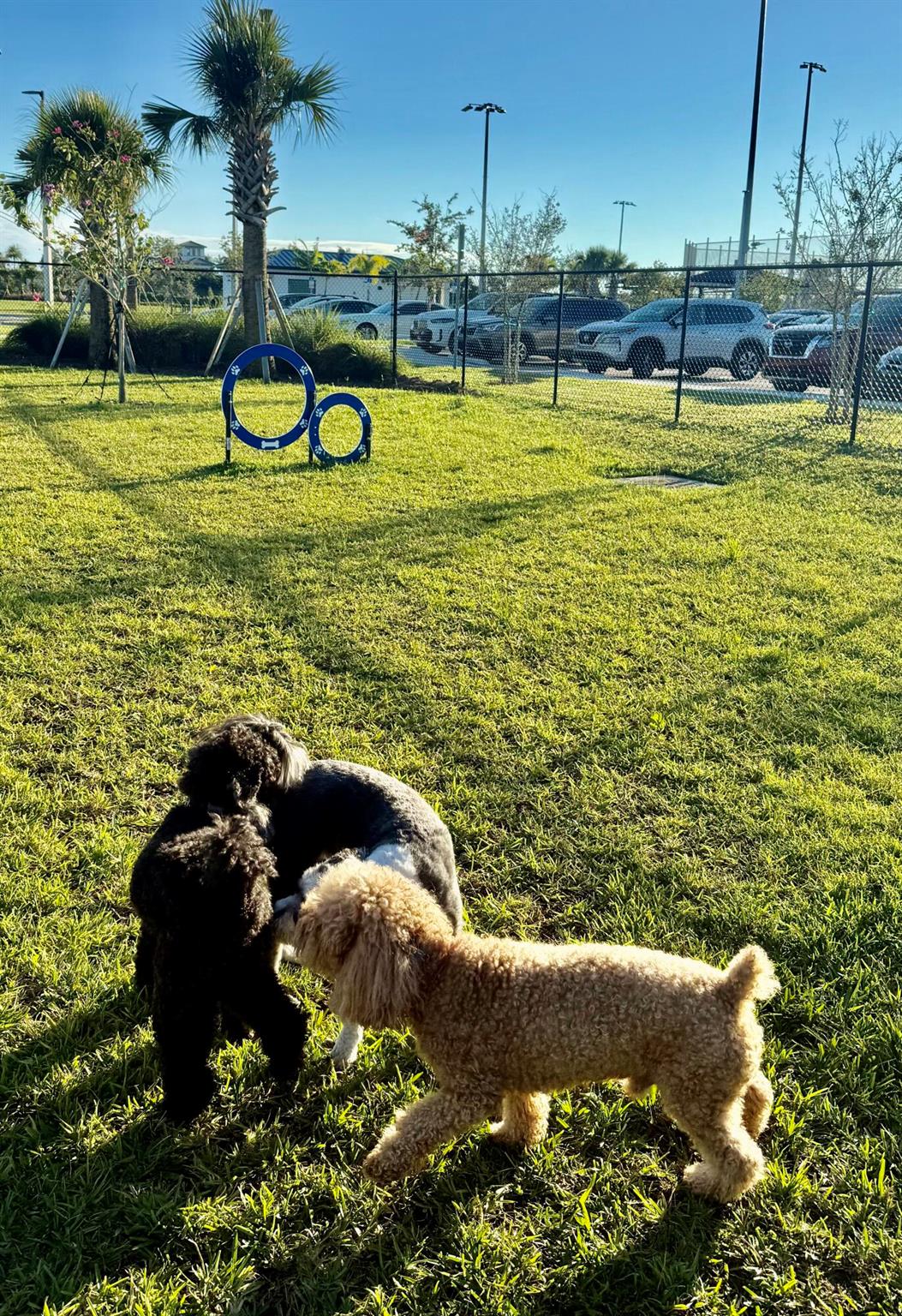 RIVERLAND PARCEL C - PLAT - Residential