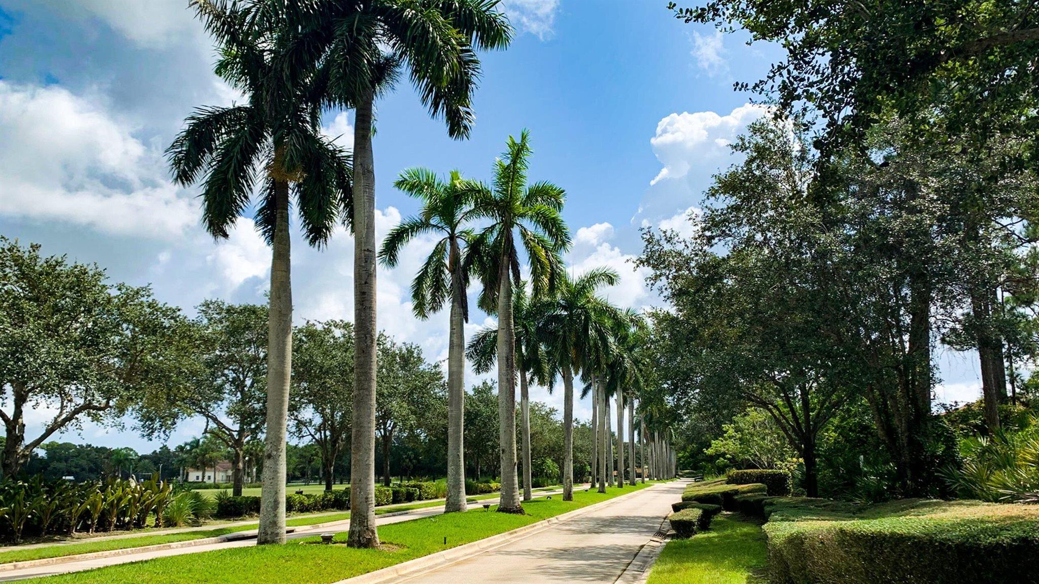 TESORO PRESERVE PLAT NO 2 - Residential Lease