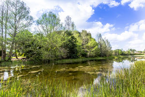 IBIS GOLF AND COUNTRY CLU - Residential