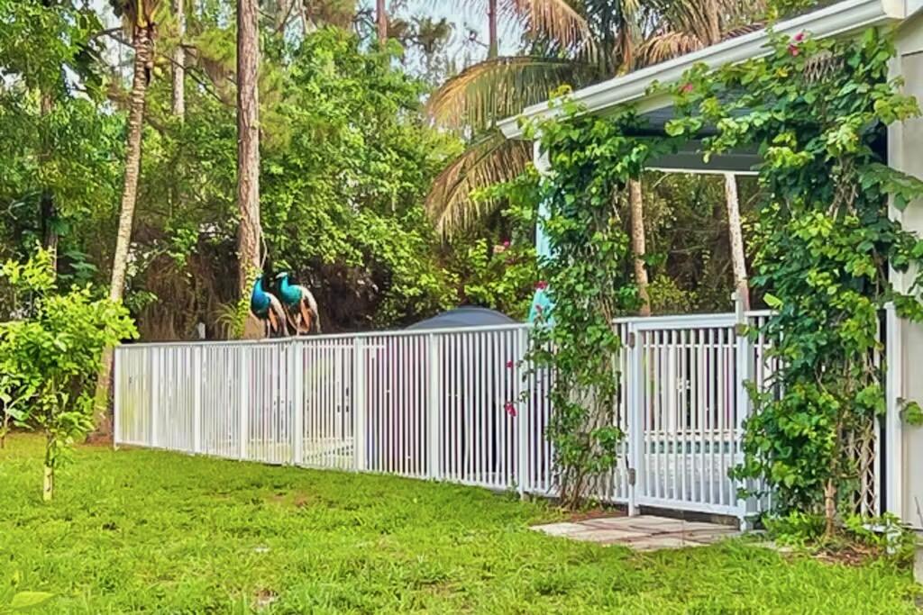 The Acreage - Residential