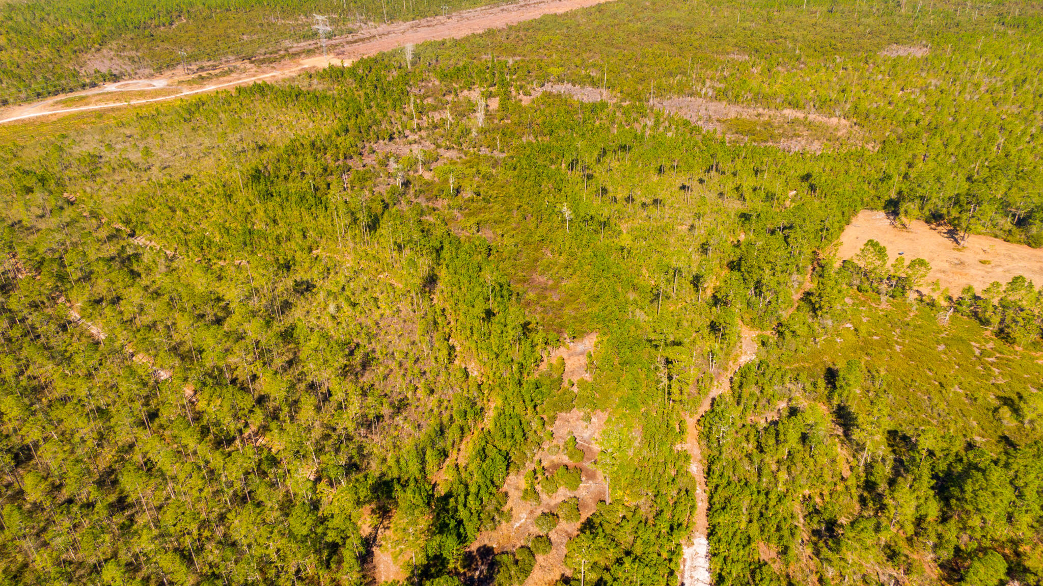 PAYNE'S LANDING RANCHES UNR - Land