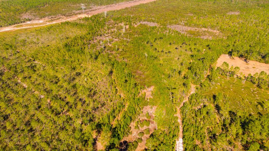 For sale in Fort McCoy, FL 32134—four separate vacant parcels (Parcel #04572-000-36 and others) priced at $45,000 each, with a package deal available for buyers interested in multiple lots. Located in a peaceful rural setting near the Ocala National Forest, these properties offer plenty of space for your dream home, small farm, or recreational retreat. Enjoy privacy and nature while still being within a short drive to shopping, dining, lakes, and outdoor activities. This is a rare opportunity to secure your own piece of Florida land in a quiet, scenic area—buy one lot or all four for a larger estate.