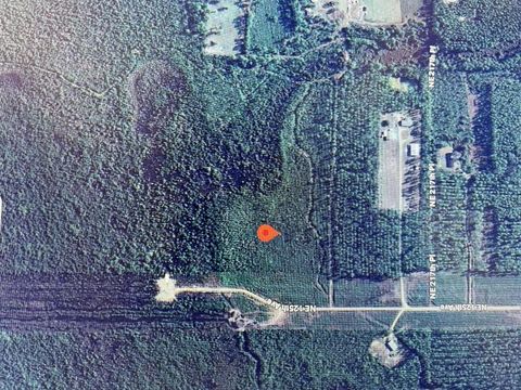 Tbd Ne 125th Ave Fort Mc Coy FL 32134