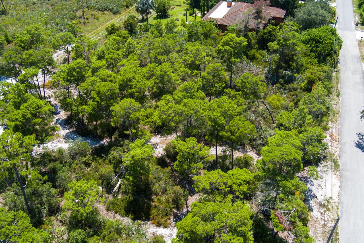 PAPAYA VILLAGE - Land