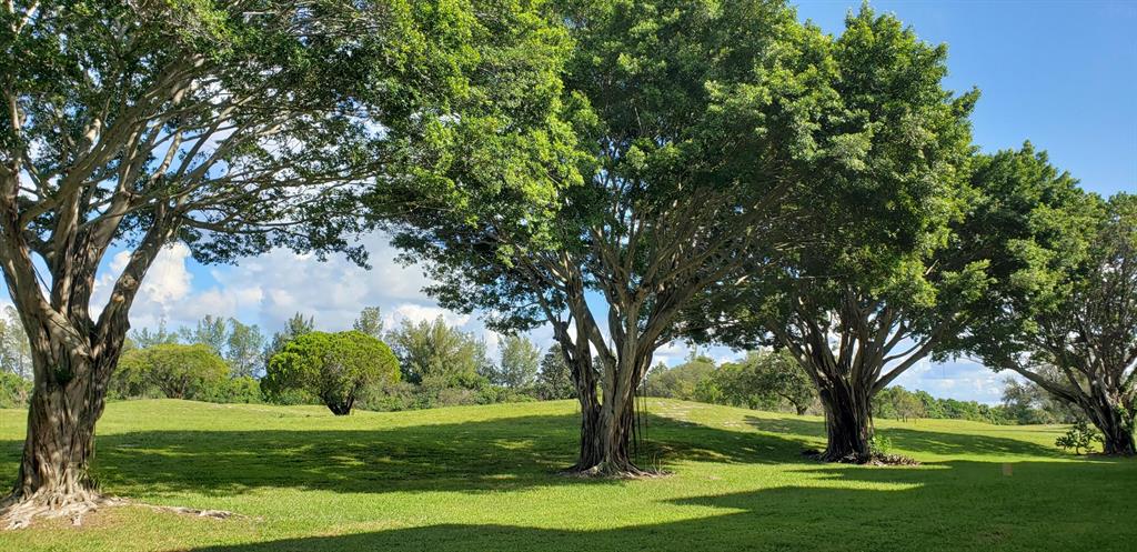 BOCA TEECA condo 8 - Residential