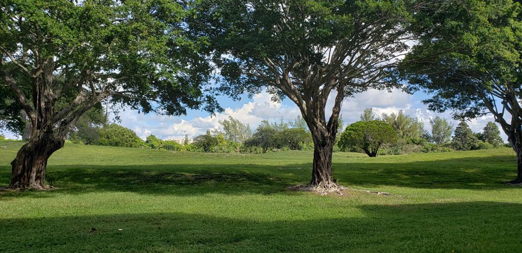 BOCA TEECA condo 8 - Residential