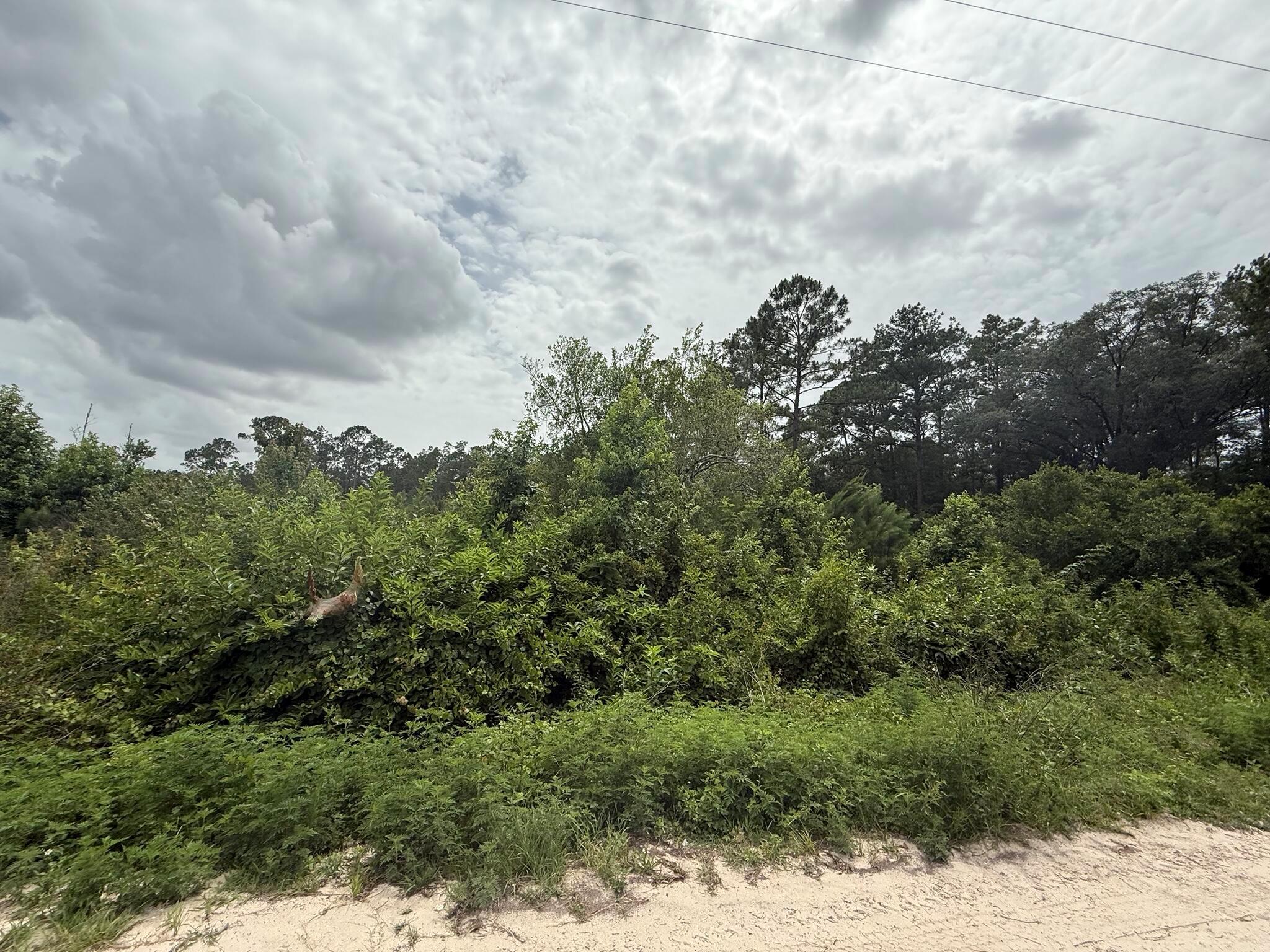 Do not miss out on this oversized 0.55-acre lot in the growing city of Interlachen. Located within minutes of schools, restaurants, diners, and parks. An easy commute to Gainesville or Palatka and less than an hour from the beach. Investing in land in Florida is a wise choice for your future, whether you're looking to build your dream home, a vacation getaway, a rental property, or simply let the land appreciate as a valuable long-term asset to resell at a profit in the future.
