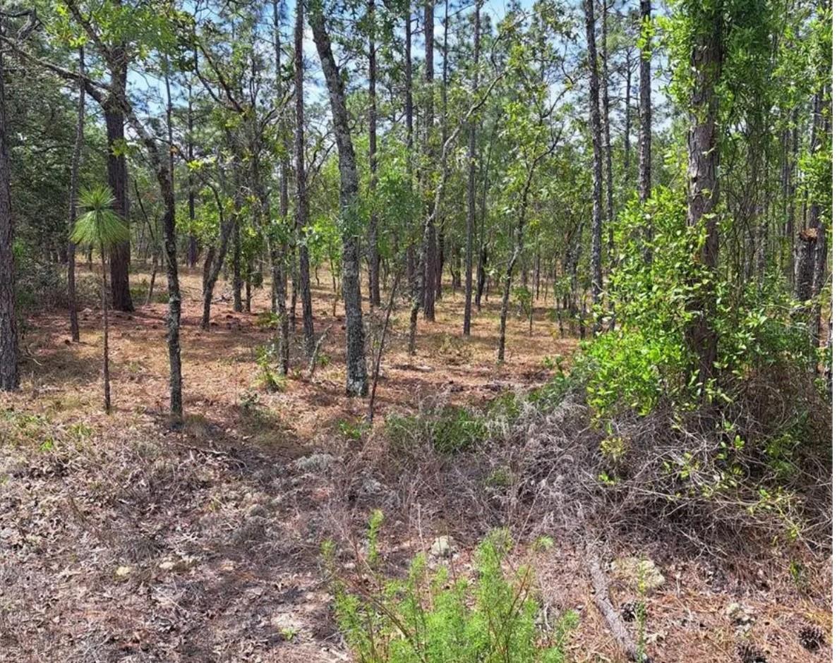 Lot 13 NW Hemlock Ave