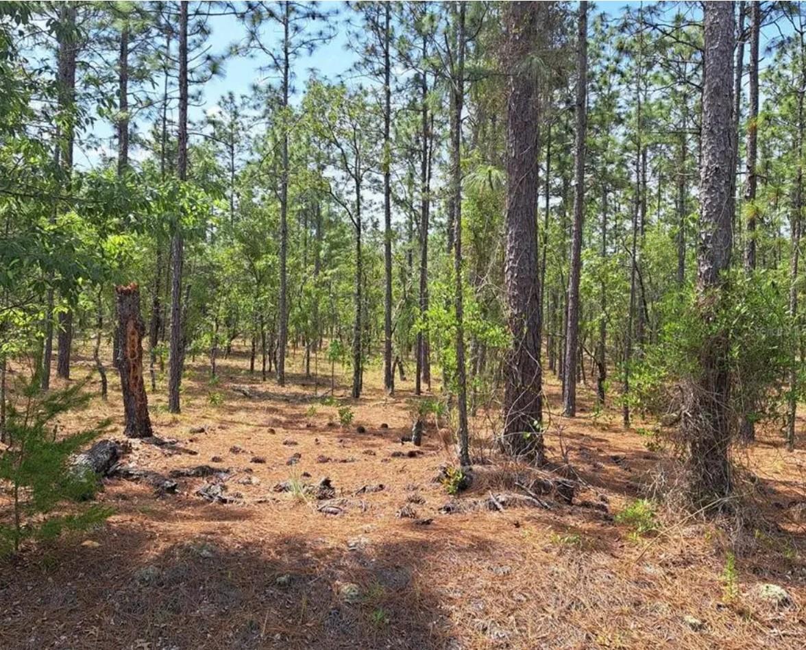 Lot 13 NW Hemlock Ave
