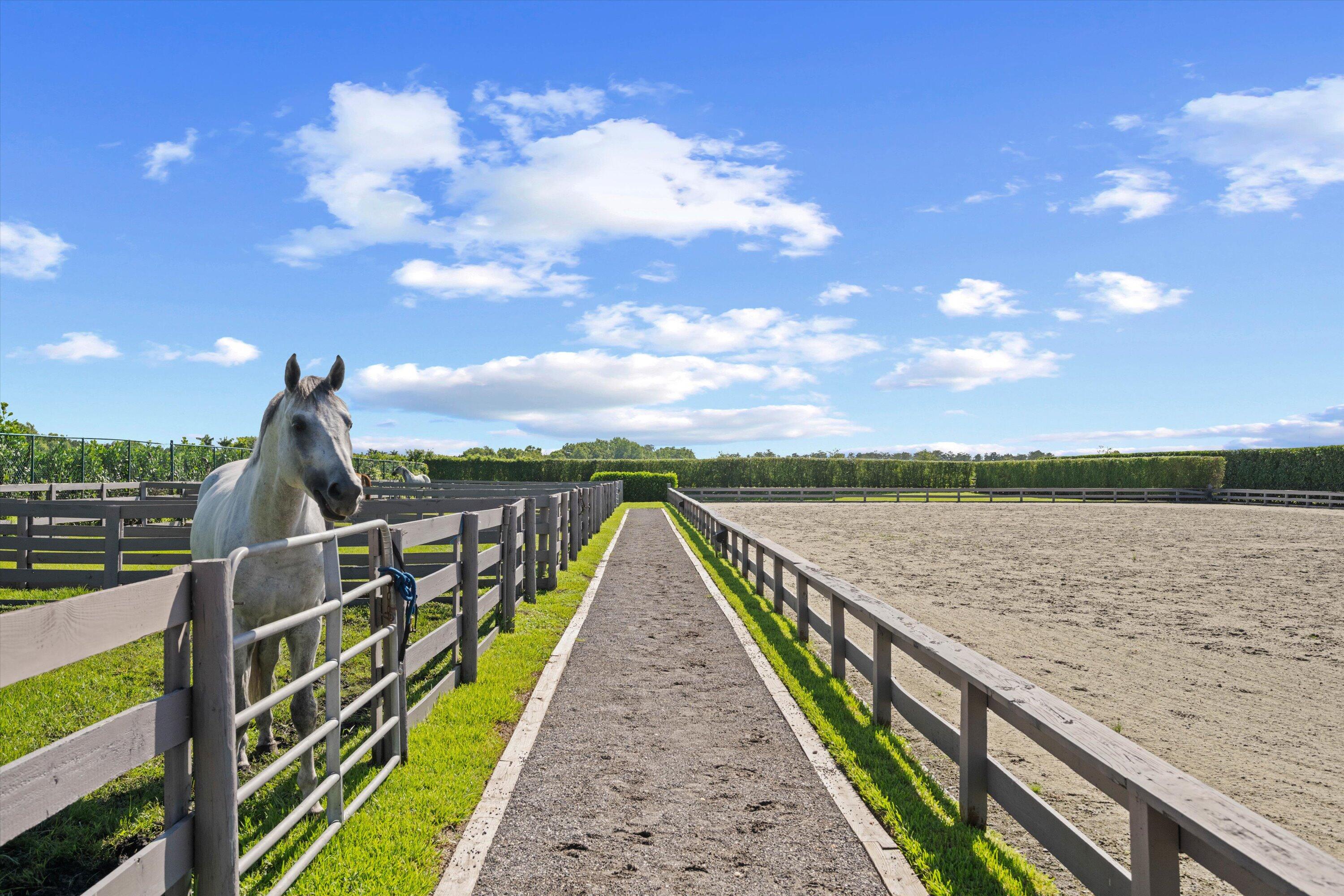 GRAND PRIX FARMS - Land