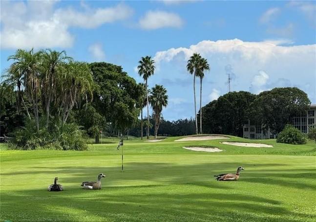 CAYMAN VILLAGE - Residential