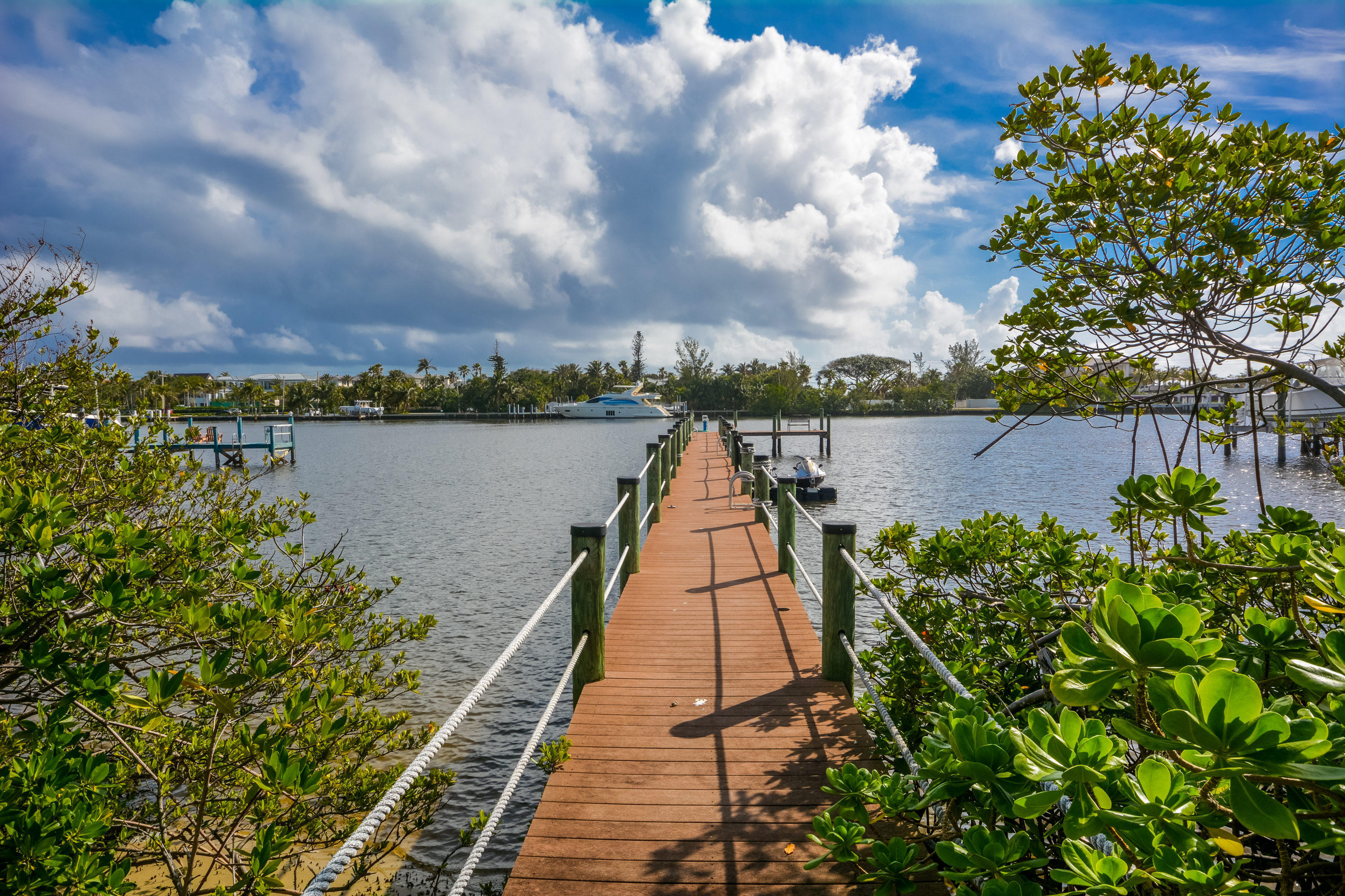 BLUE BAYOU - Residential