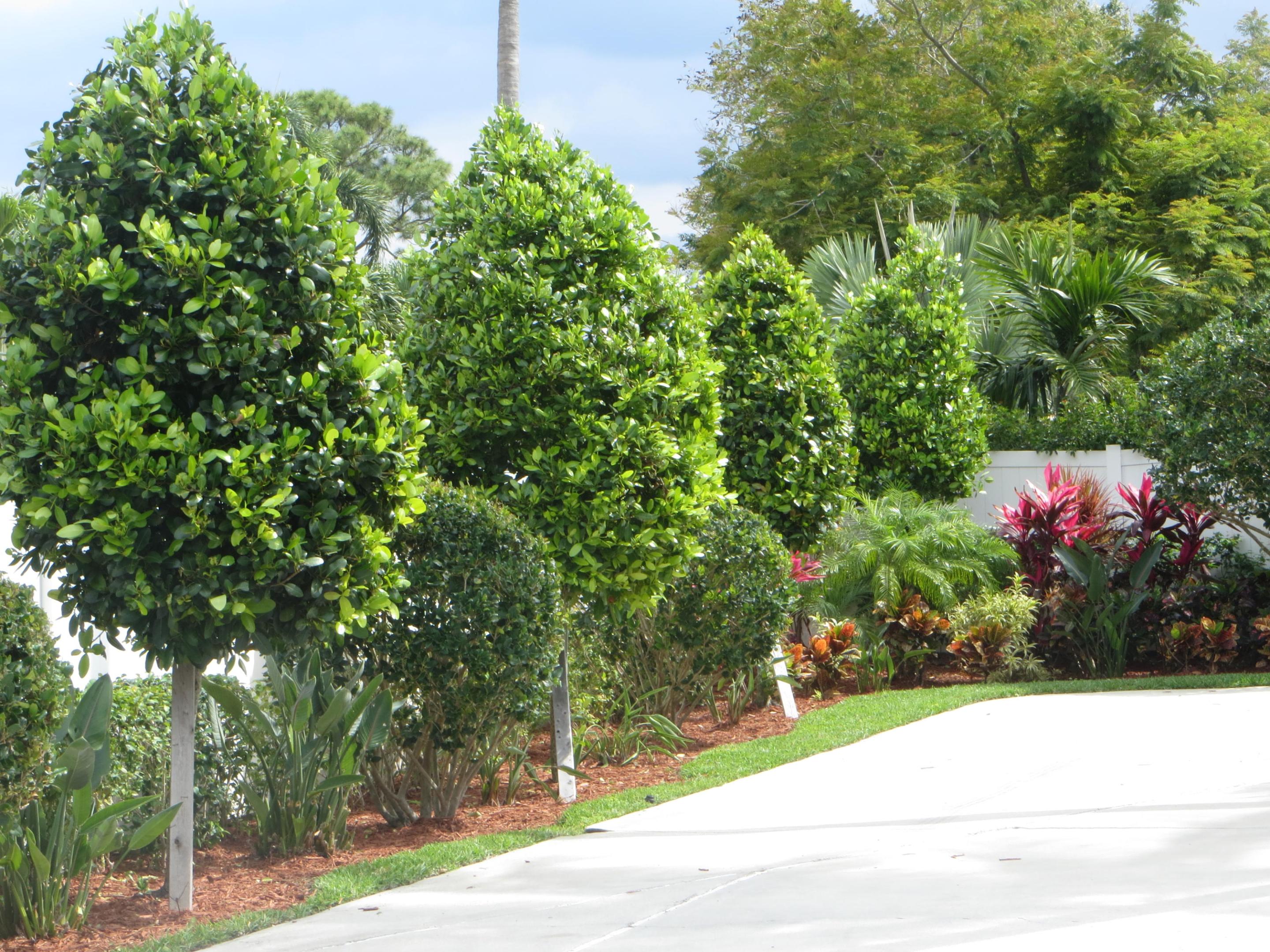 BOCA ALTA SEC 2 - Residential