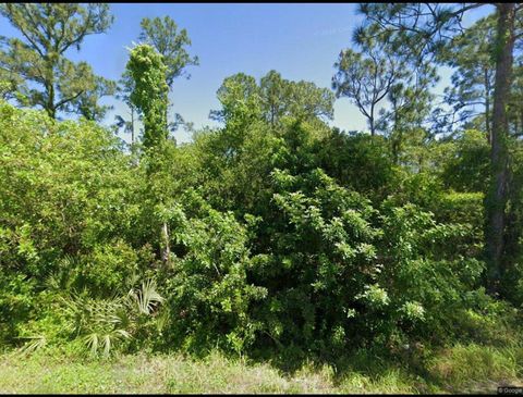 111 Suwannee Lane Lake Placid FL 33852