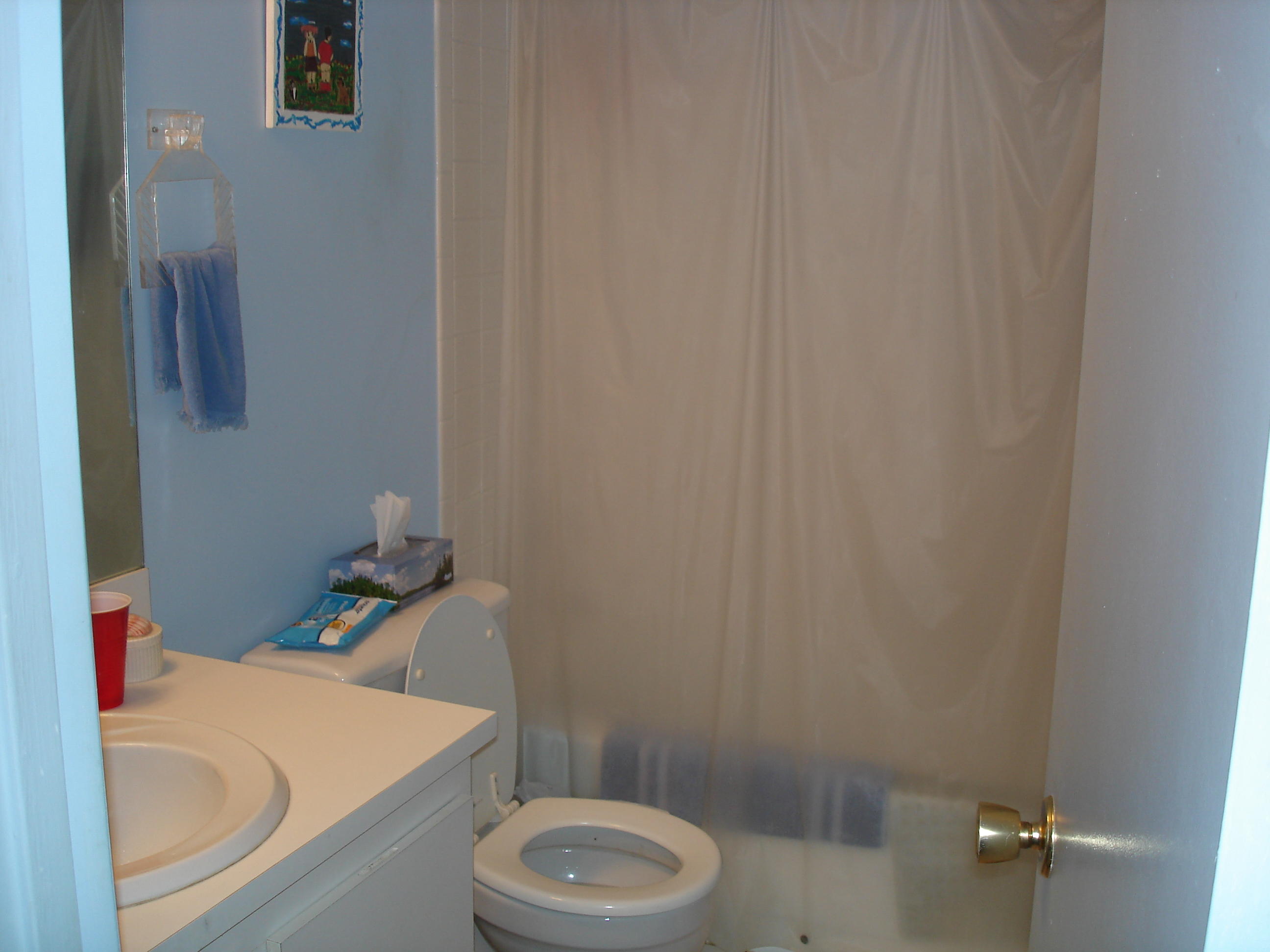 BRIDGEVIEW COND DECL - Residential