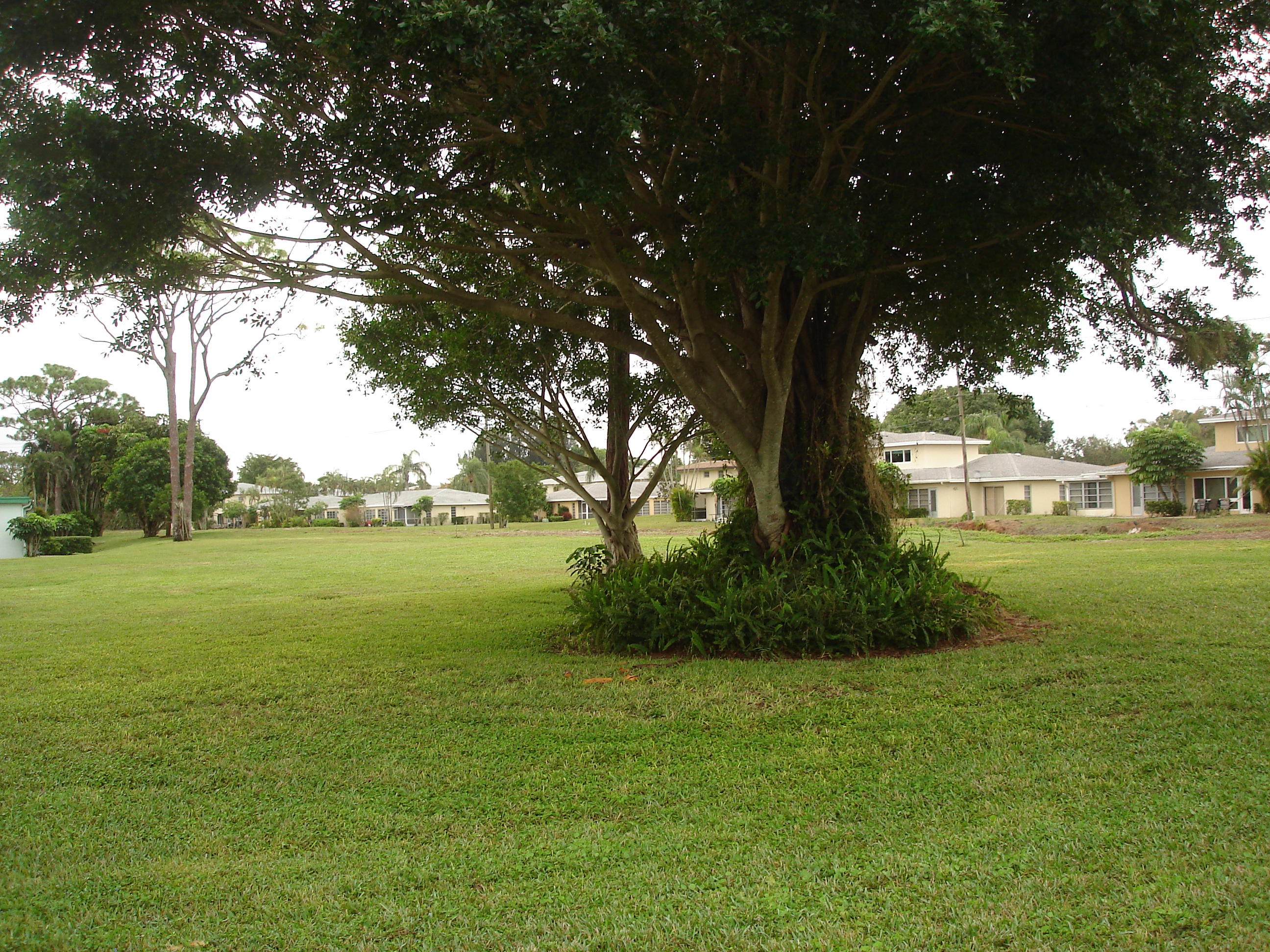 BRIDGEVIEW COND DECL - Residential