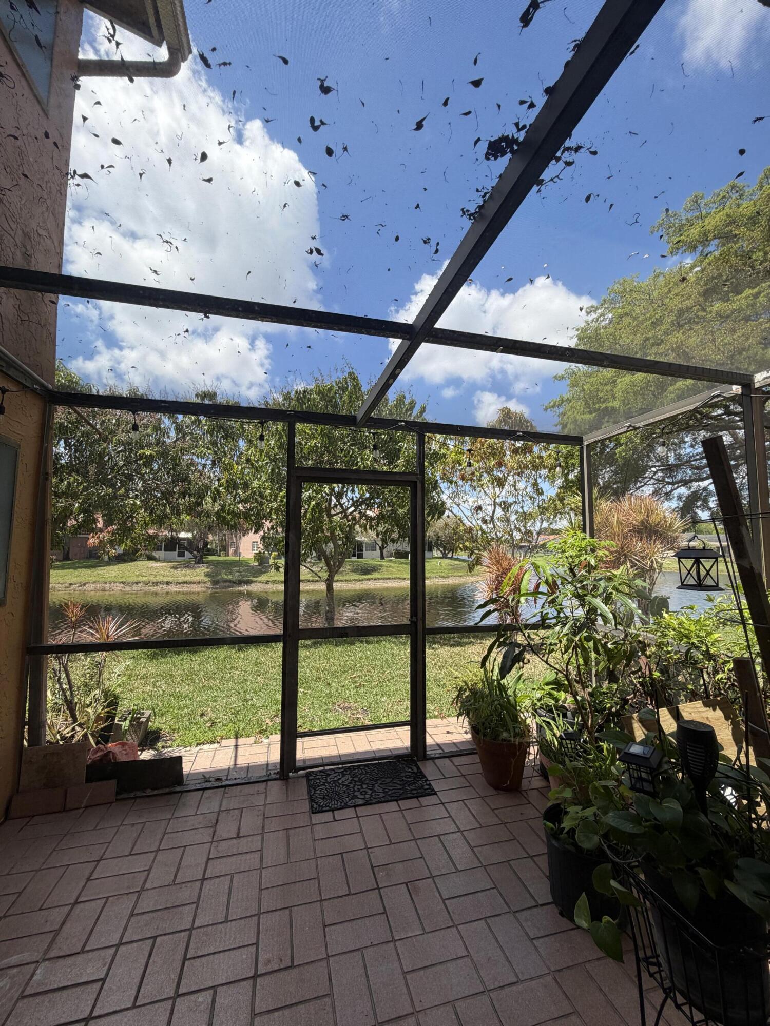 Pineapple Park - Residential