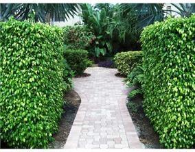 Birch Estates 23-24 B - Residential Lease