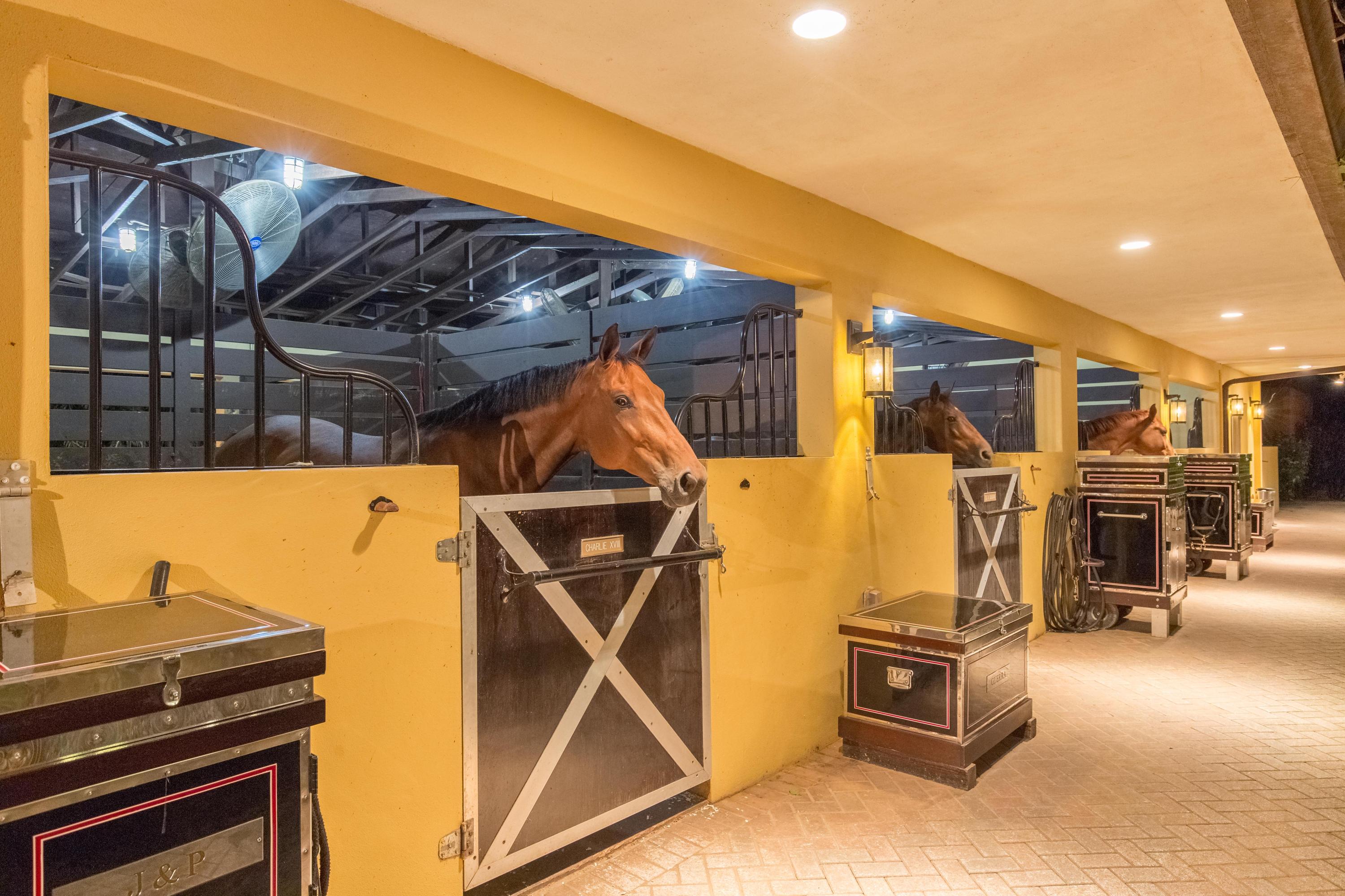 LAS PALMAS EQUESTRIAN - Residential