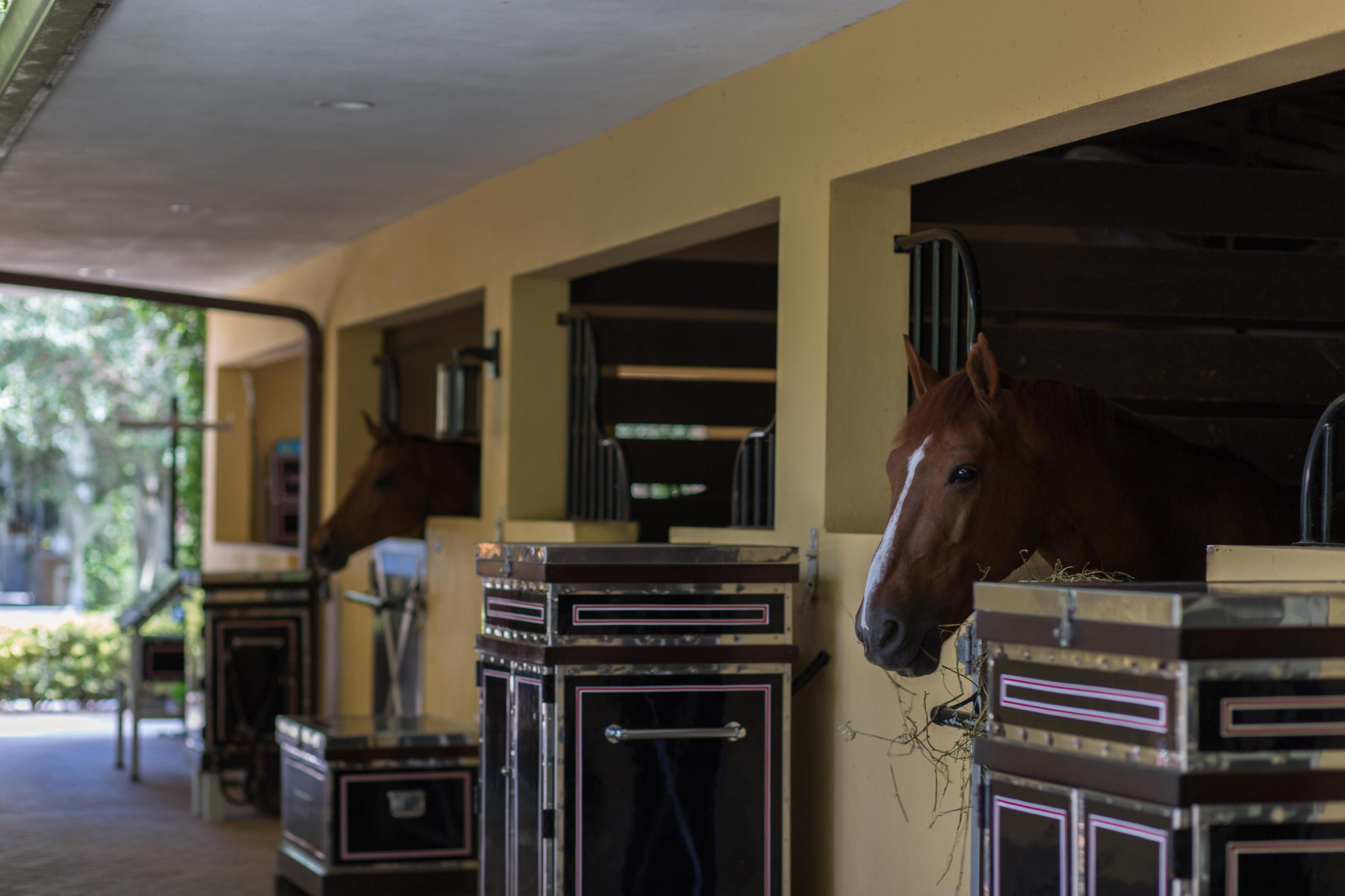 LAS PALMAS EQUESTRIAN - Residential