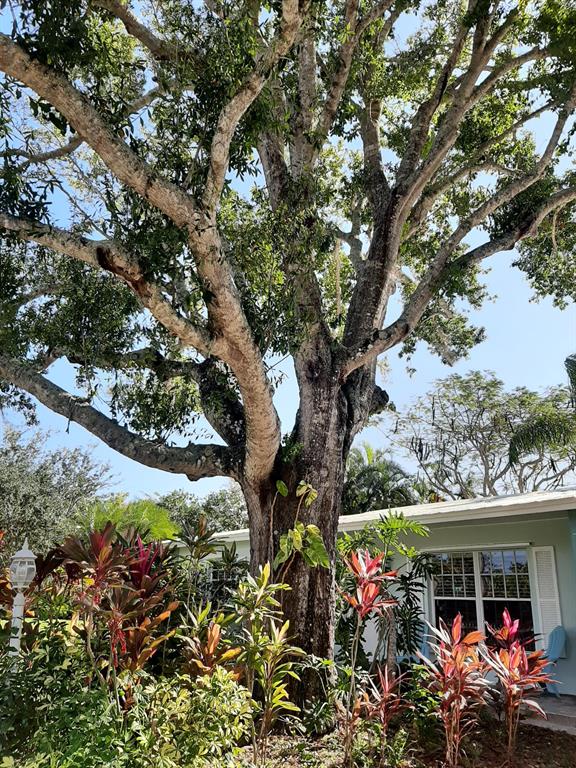 RIVER SHORES ESTATES UNIT 1 - Residential