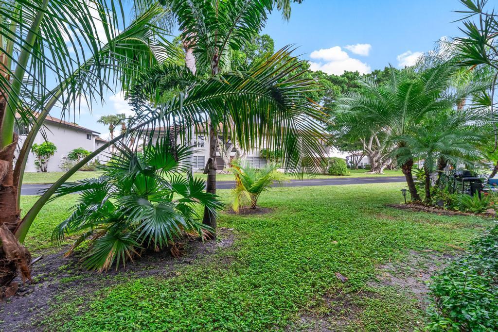 PALM GREENS AT VILLA DEL - Residential