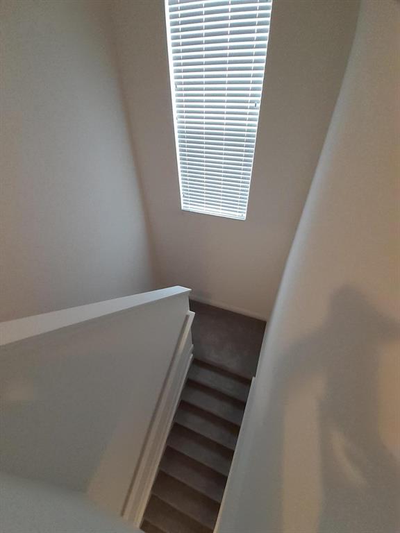 VIZCAYA FALLS PLAT 3 - Residential