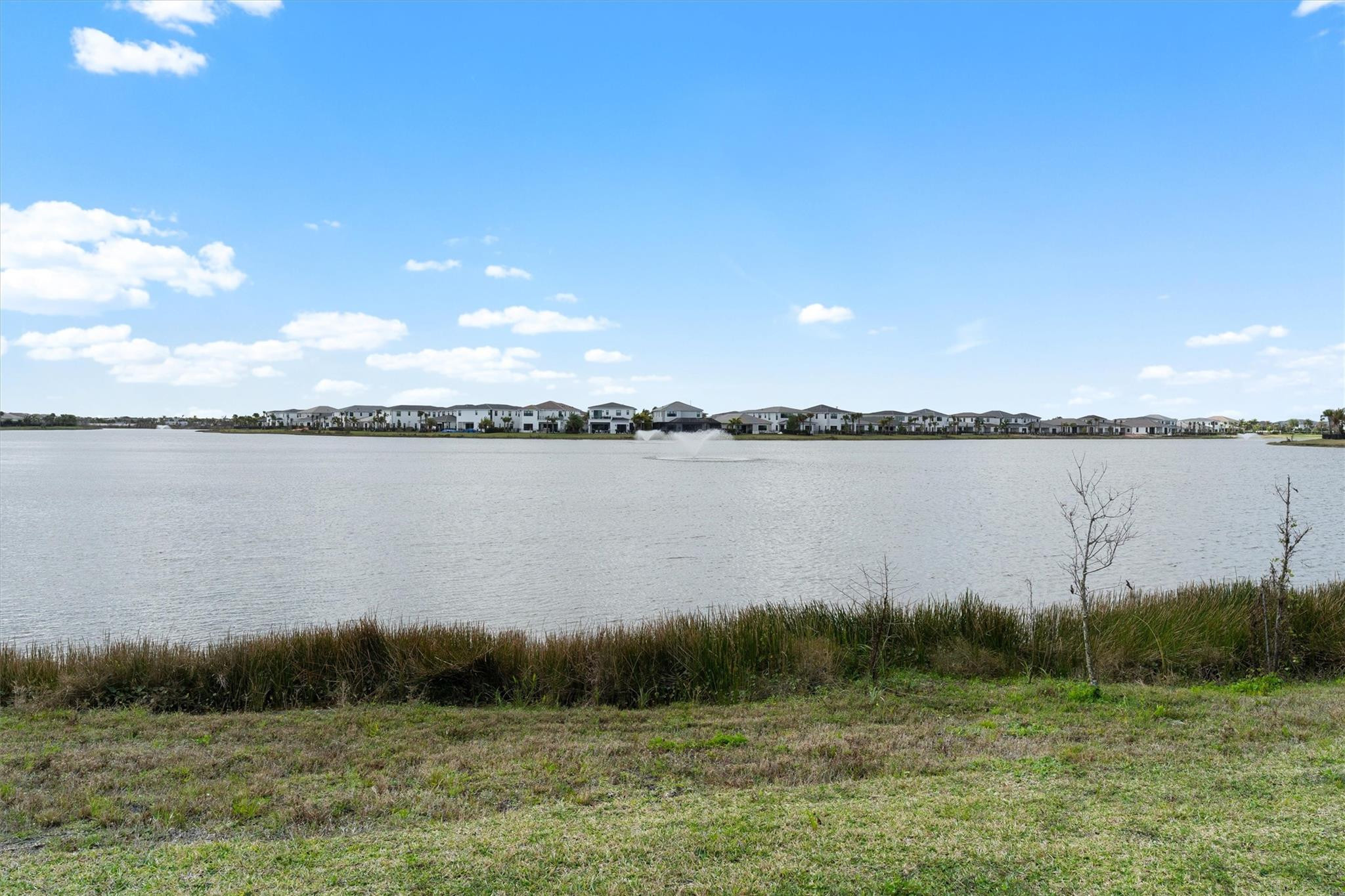 Avondale at Avenir - Residential