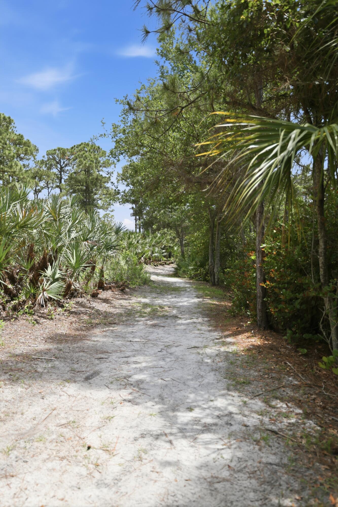 OSCEOLA WOODS - Residential