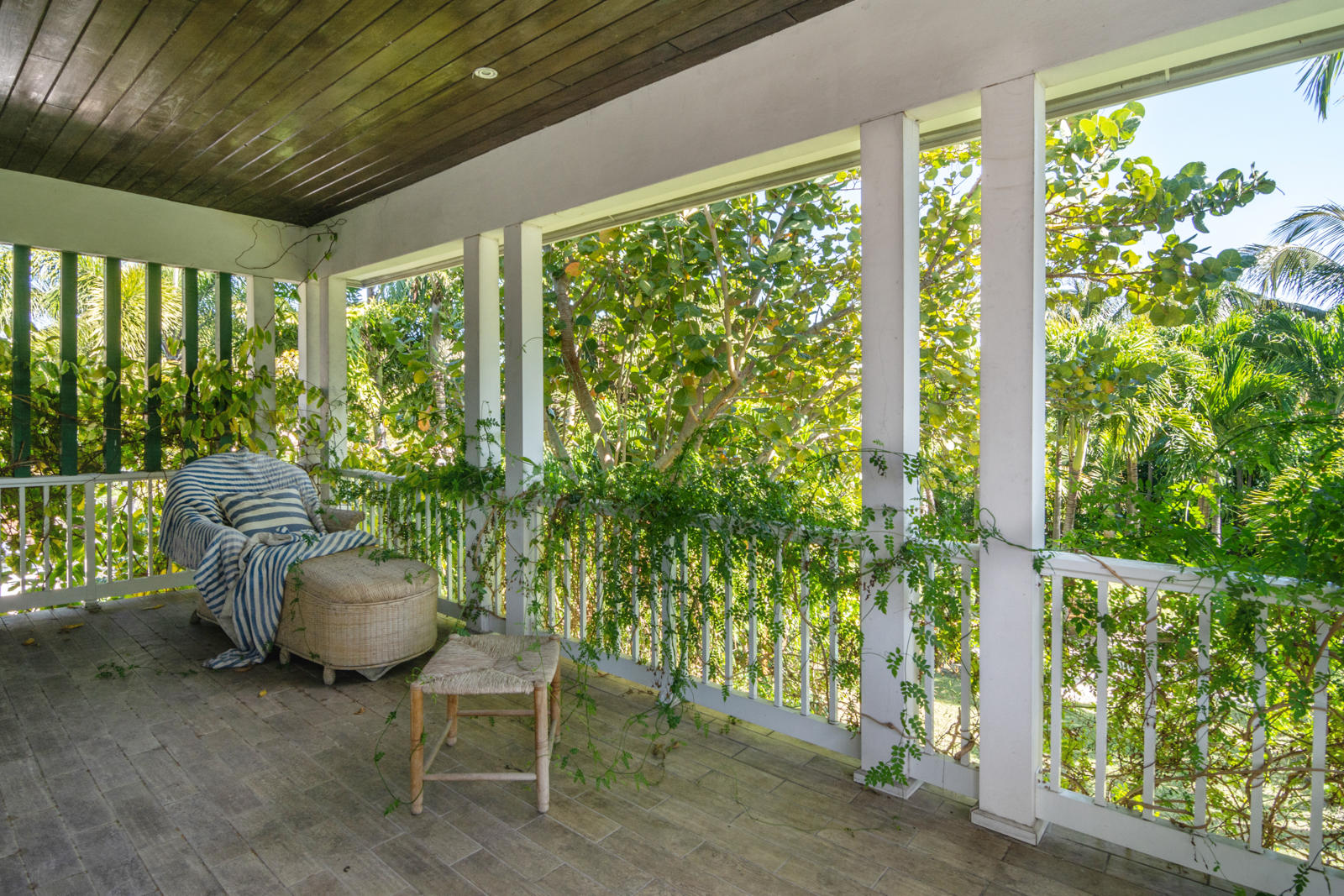 ORCHID LANE - Residential