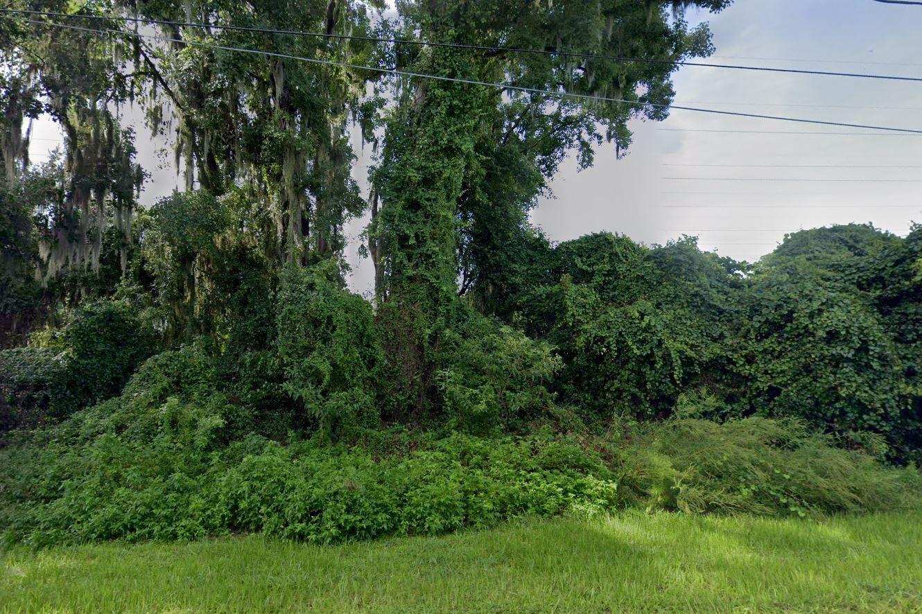 Rare Opportunity in DeBary! Invest in this spacious vacant lot at 266 Toms Rd, located in a quiet, established neighborhood with no HOA. This lot offers a great mix of privacy and convenience, just minutes from shopping, dining, and major highways for an easy commute. Additional adjacent lots also available: 262, 264, 268, and 270 Toms Rd--perfect for added space or development potential. For questions regarding land use, building requirements, or zoning, please phone the City of DeBary Zoning Department directly. Don't miss out on this growing area--secure your piece of DeBary today!