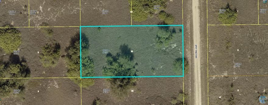Prime vacant land opportunity in Lehigh Acres! This spacious  half acre lot is perfect for investors, builders, or those looking to build their dream home.  Don't miss out on this fantastic opportunity!